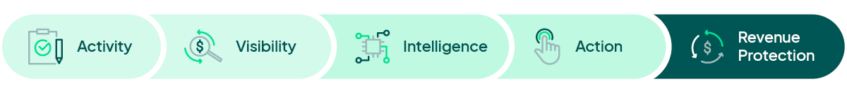 connection of Activity, Visibility, Intelligence, Action, Revenue Protection